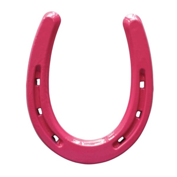 Product Image: Lucky Colorful Horseshoe
