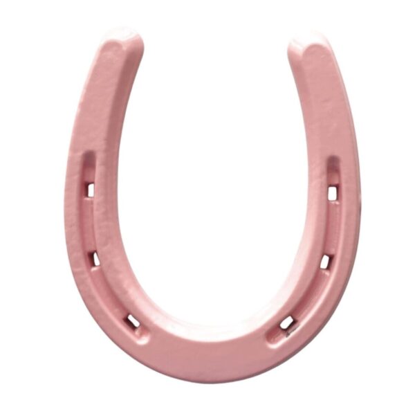 Product Image: Lucky Colorful Horseshoe