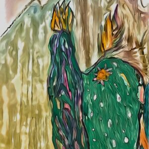 Product Image: Desert Twins 2025