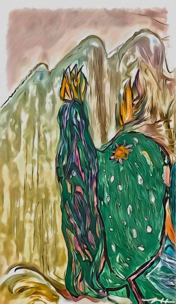 Product Image: Santa Fe Twins 2025