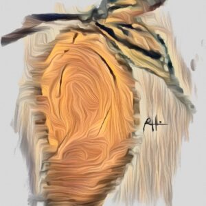 Product Image: Mango II 2025 Oil Pastel, 8″X12″
