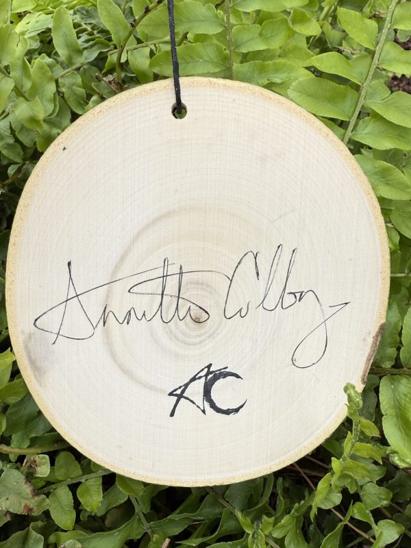 Product Image: Mountain Escape — Original Hand-Painted Aspen Wood Slice