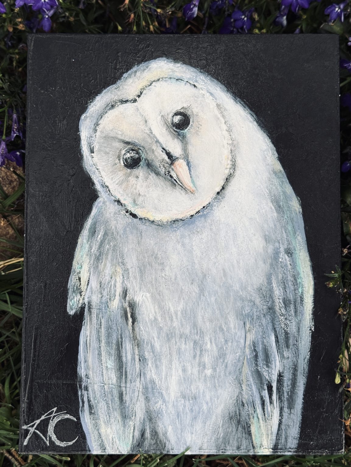 Santa Fe Marketplace Midnight — 6×8 inches, 1 inch depth Birch Hardwood Board Product Image: Midnight — 6×8 inches, 1 inch depth Birch Hardwood Board