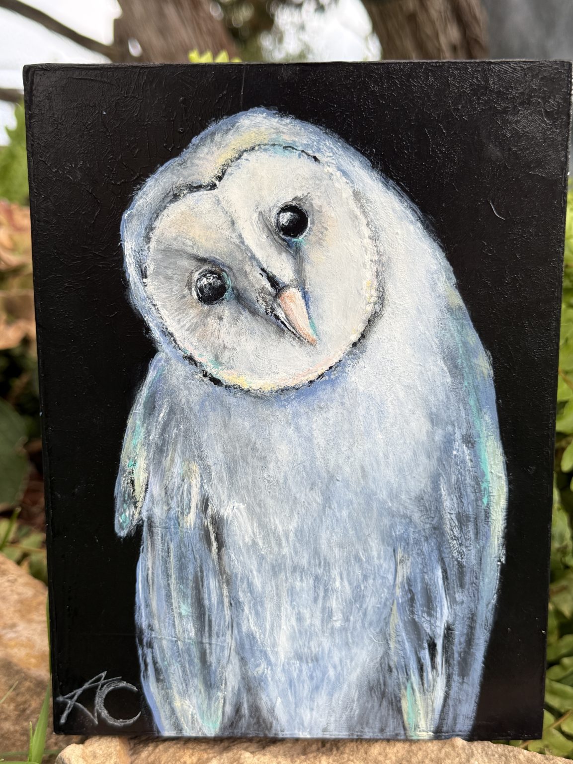 Santa Fe Marketplace Midnight — 6×8 inches, 1 inch depth Birch Hardwood Board Product Image: Midnight — 6×8 inches, 1 inch depth Birch Hardwood Board