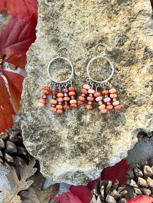 Product Image: Circle Dangle Earrings