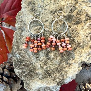 Product Image: Circle Dangle Earrings