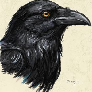 Product Image: Santa Fe Raven 12 X 8 Oil Pastel