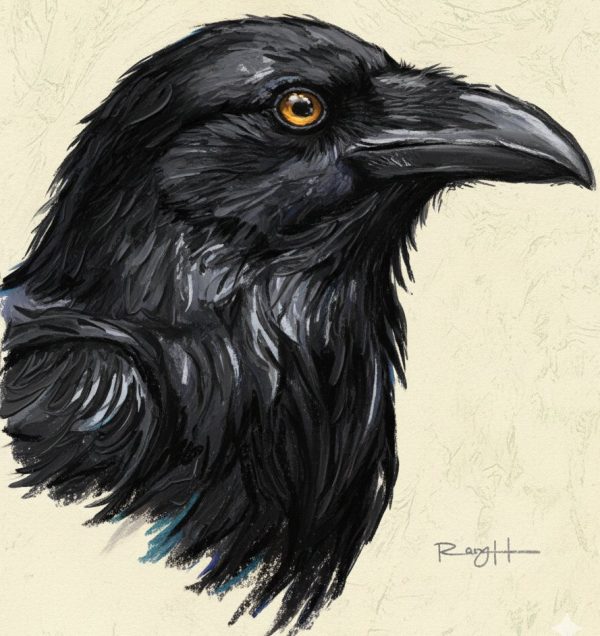 Product Image: Santa Fe Raven 12 X 8 Oil Pastel