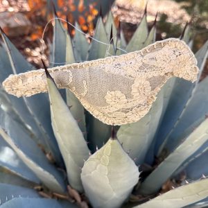 Santa Fe Marketplace Vintage Lace Hand-Sewn Bird 4 – by Annette Colby Product Image: Vintage Lace Hand-Sewn Bird 4 – by Annette Colby