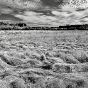 Product Image: Arizona Landscape / B&W