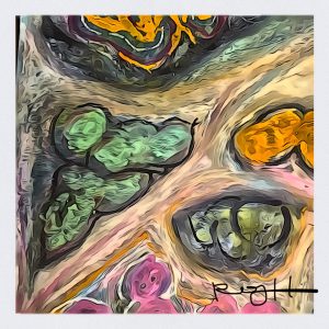 Product Image: Monsoon 10″X10″ PRINT ONLY