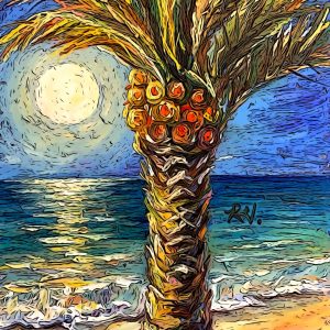 Product Image: Tropical Sunset 12′ X 8″ PRINT ONLY