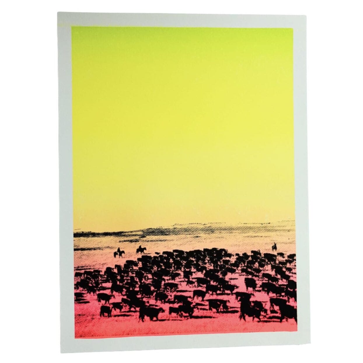 Santa Fe Marketplace Fluorescent Western Cattle Print Product Image: Fluorescent Western Cattle Print