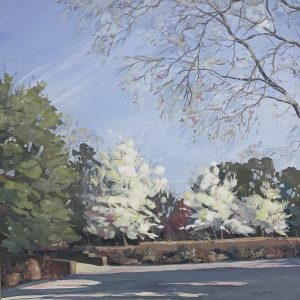 Santa Fe Marketplace Blossoms Down the Street Product Image: Blossoms Down the Street