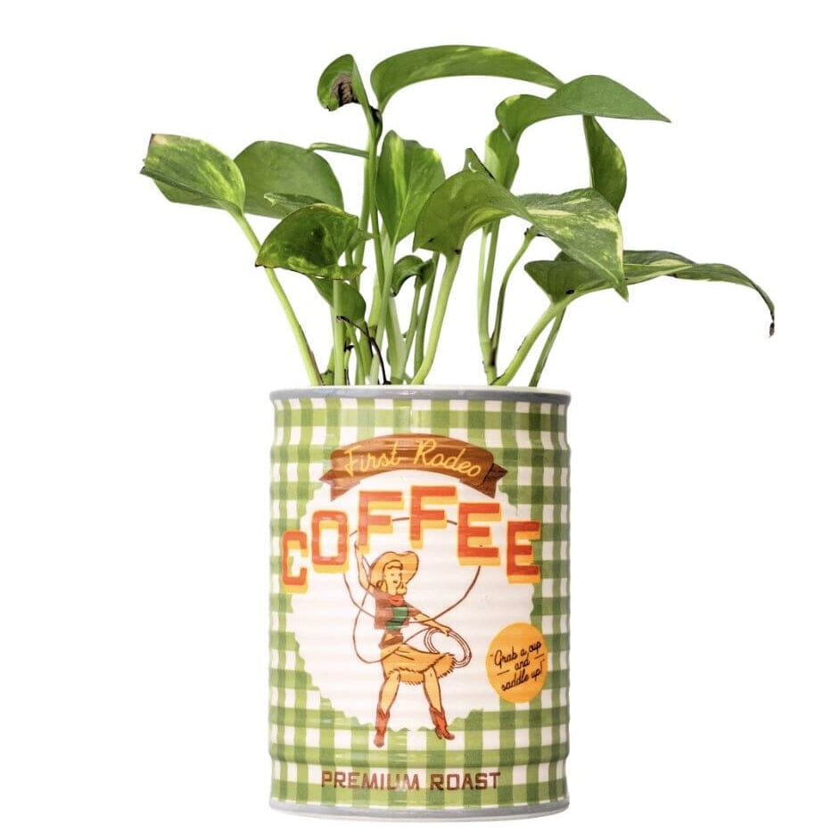 Santa Fe Marketplace Coffee Can Ceramic Pot Product Image: Coffee Can Ceramic Pot