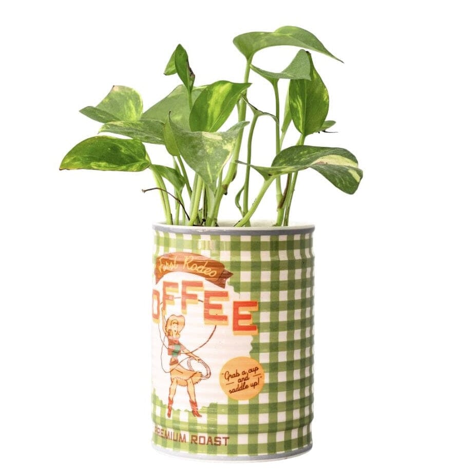 Santa Fe Marketplace Coffee Can Ceramic Pot Product Image: Coffee Can Ceramic Pot