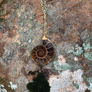 Product Image: Amazing Ammonite Pendant