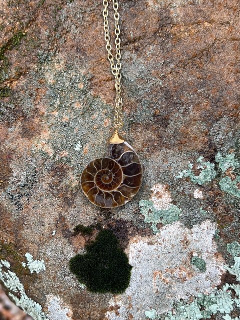 Santa Fe Marketplace Amazing Ammonite Pendant Product Image: Amazing Ammonite Pendant
