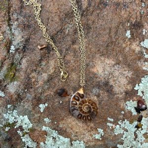 Product Image: Unique Ammonite Pendant