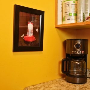 Product Image: Hummingbirds