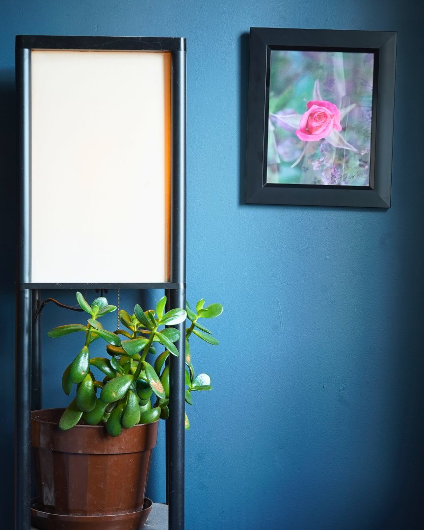 Santa Fe Marketplace New Bloom Product Image: New Bloom