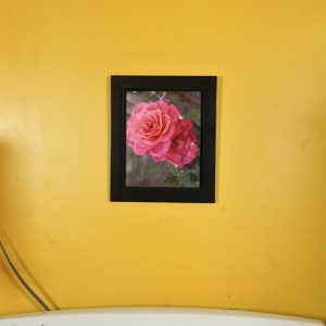 Santa Fe Marketplace Full Bloom Product Image: Full Bloom