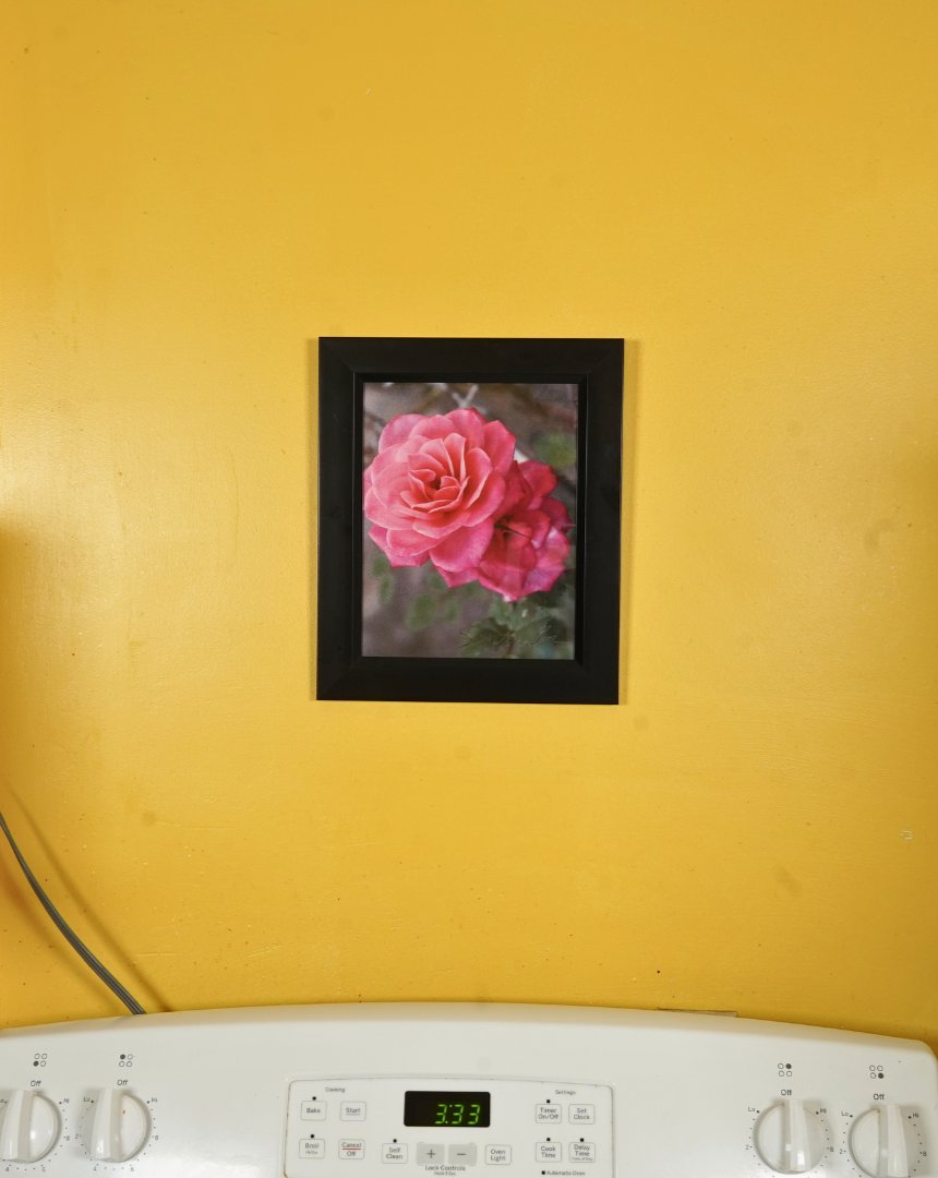 Santa Fe Marketplace Full Bloom Product Image: Full Bloom