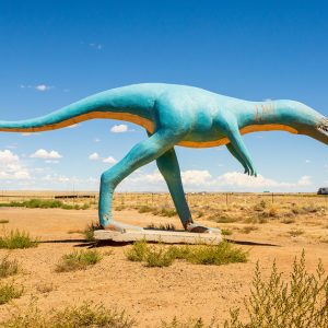 Santa Fe Marketplace Lonely Dinosaur Product Image: Lonely Dinosaur