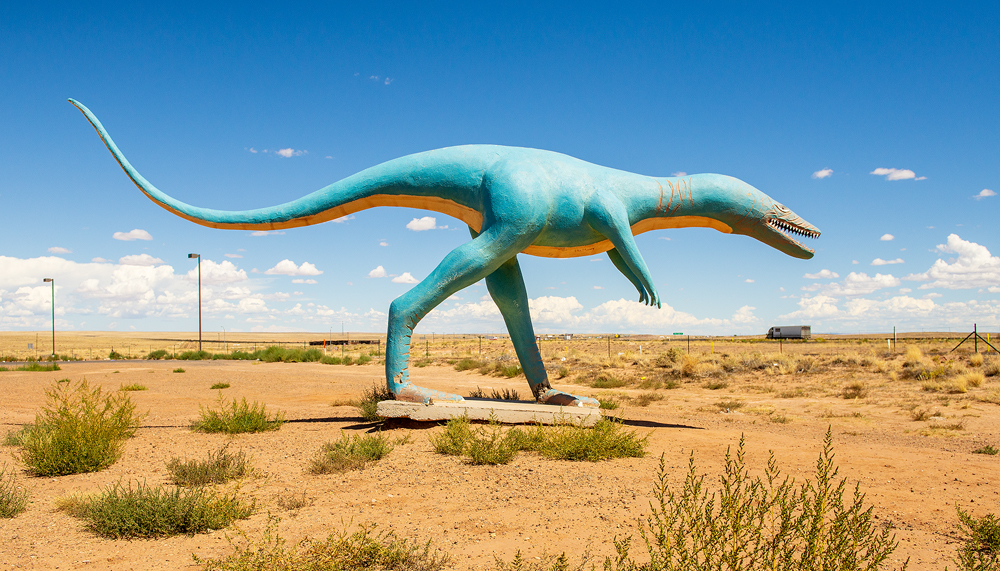 Santa Fe Marketplace Lonely Dinosaur Product Image: Lonely Dinosaur
