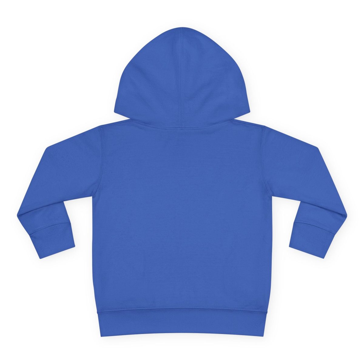 Santa Fe Marketplace Alligator Toddler Hoodie — Gender Neutral Sweatshirt Product Image: Alligator Toddler Hoodie — Gender Neutral Sweatshirt