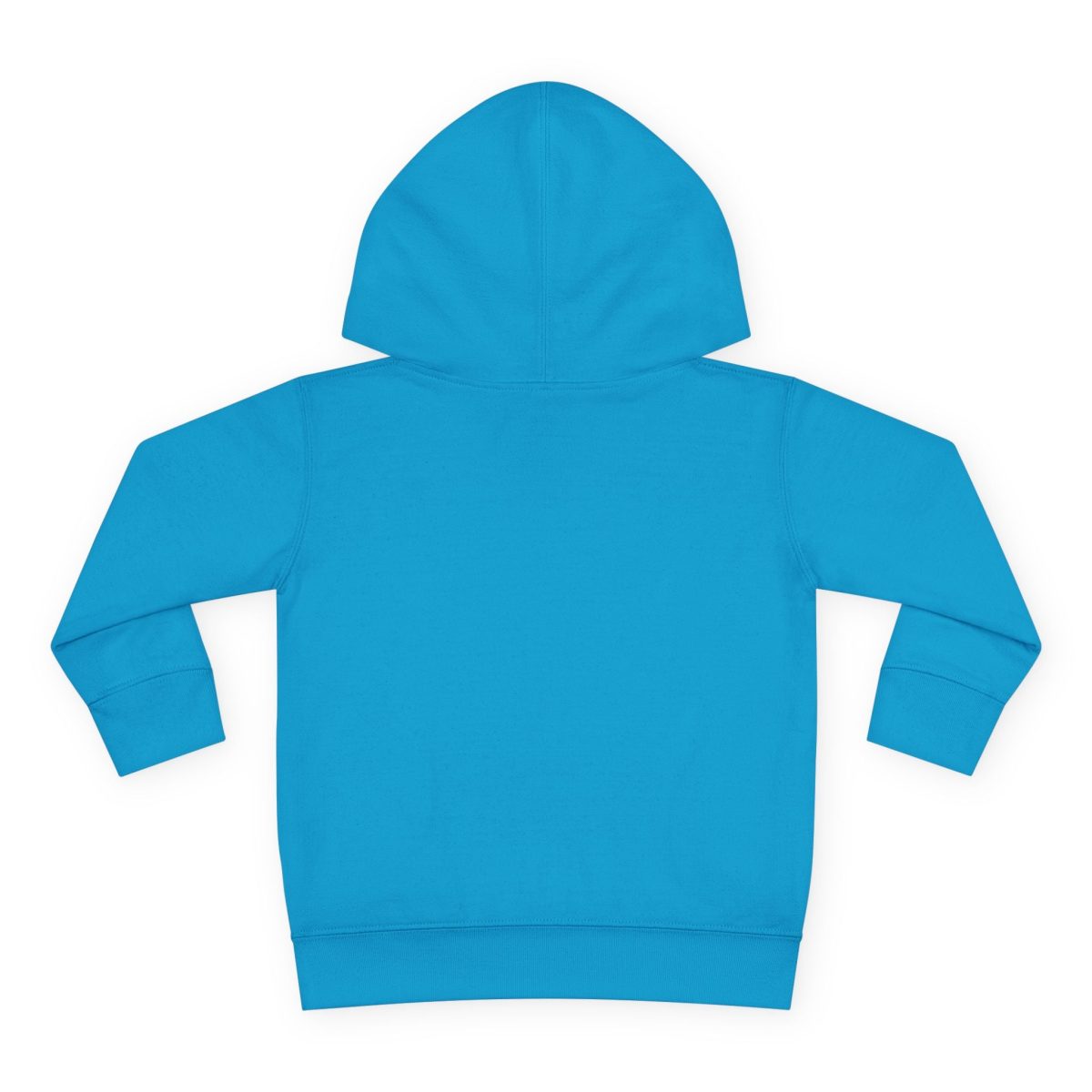 Santa Fe Marketplace Alligator Toddler Hoodie — Gender Neutral Sweatshirt Product Image: Alligator Toddler Hoodie — Gender Neutral Sweatshirt