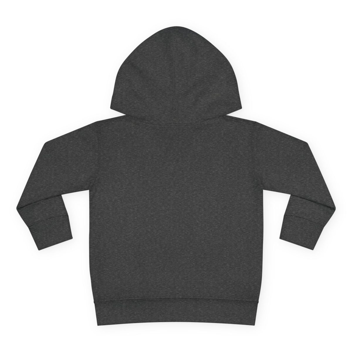 Santa Fe Marketplace Lions Toddler Hoodie — Gender Neutral Sweatshirt Product Image: Lions Toddler Hoodie — Gender Neutral Sweatshirt