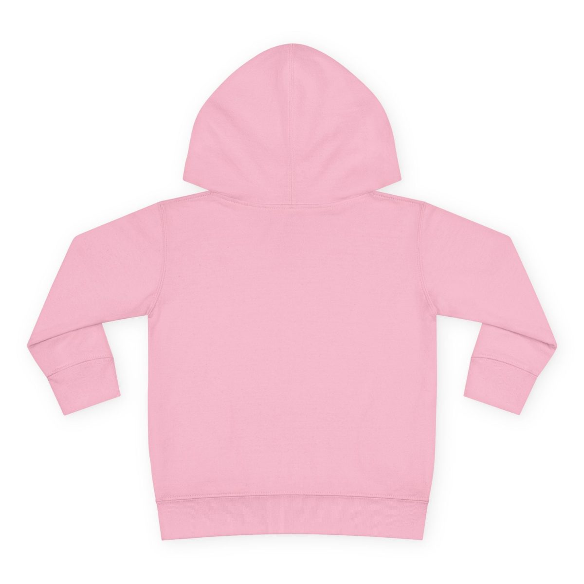 Santa Fe Marketplace Lions Toddler Hoodie — Gender Neutral Sweatshirt Product Image: Lions Toddler Hoodie — Gender Neutral Sweatshirt