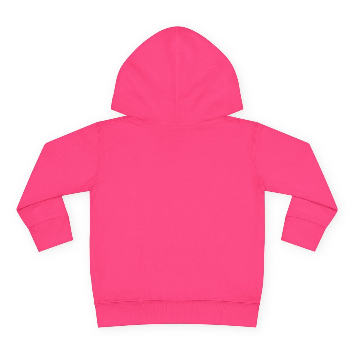 Santa Fe Marketplace Lions Toddler Hoodie — Gender Neutral Sweatshirt Product Image: Lions Toddler Hoodie — Gender Neutral Sweatshirt