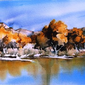 Product Image: Albuquerque Bosque
