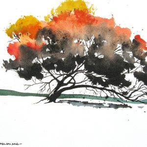 Product Image: The Old Oak Tree