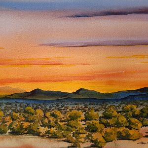 Product Image: Sunset Sage