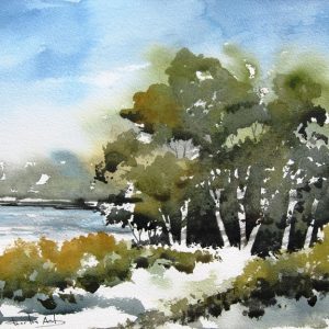 Product Image: Cottonwoods Along the Rio Grande